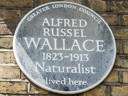 Wallace, Alfred Russel (id=1534)